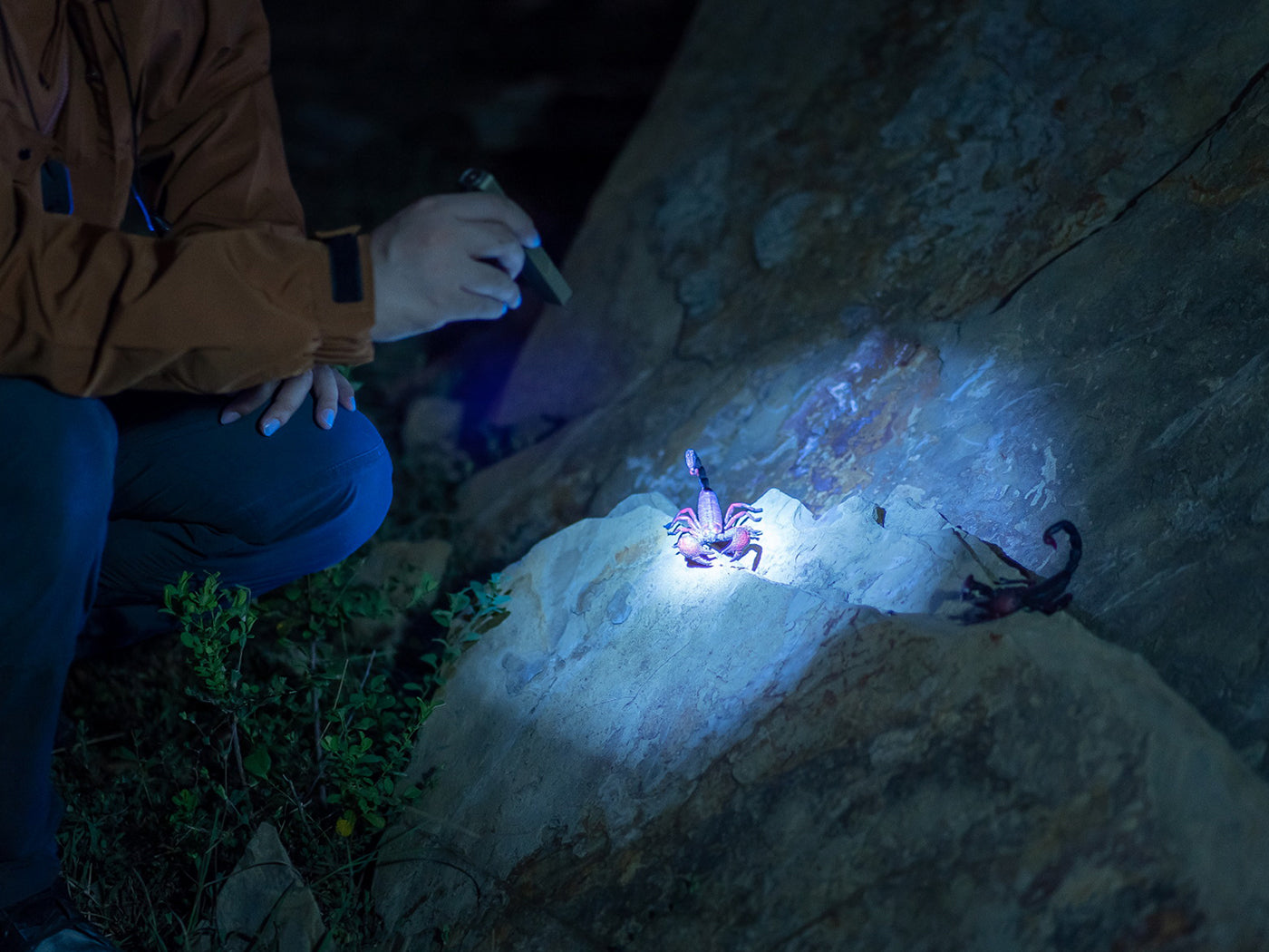 Olight Arkfeld Ultra