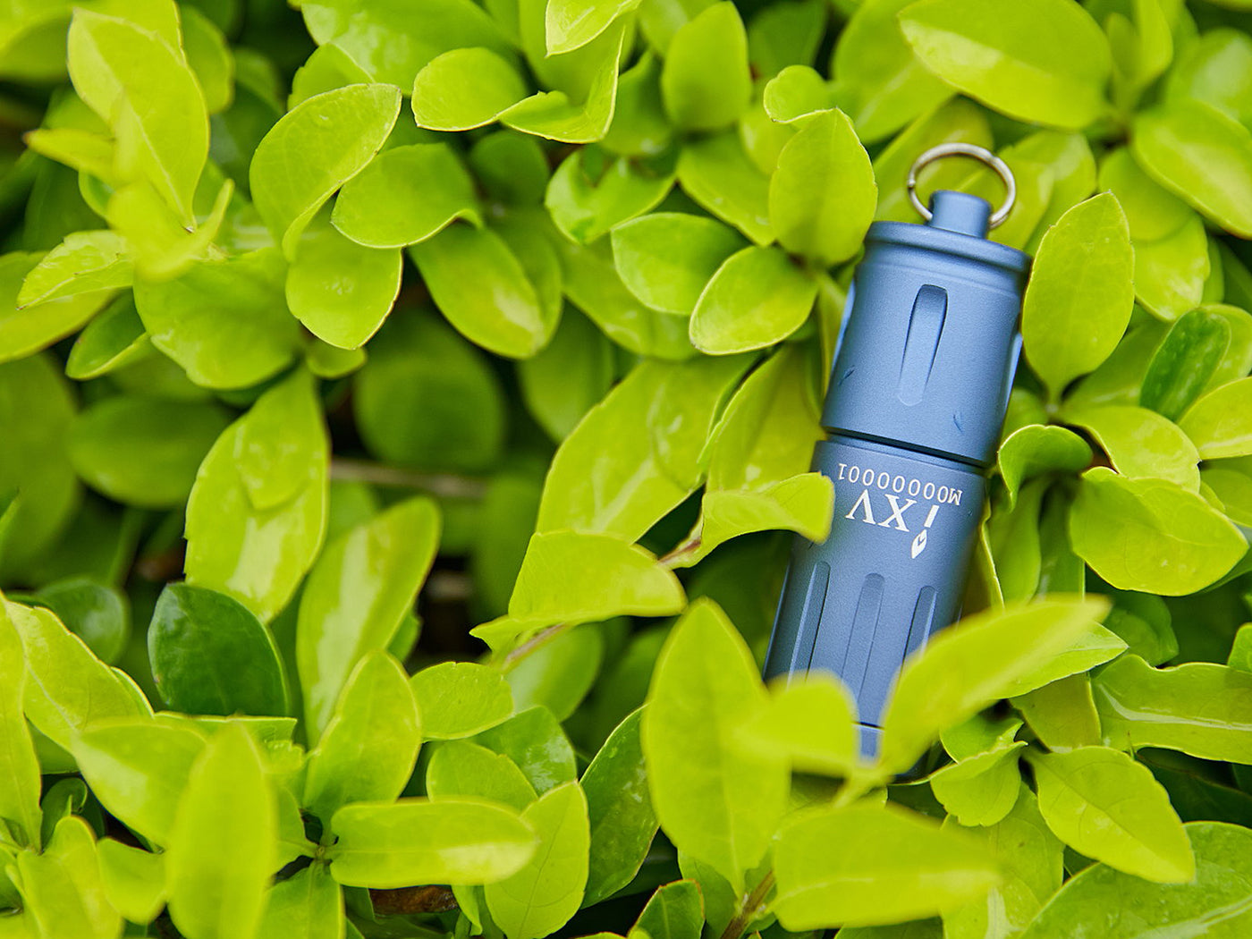 Olight IXV Coral Blue Limited Edition