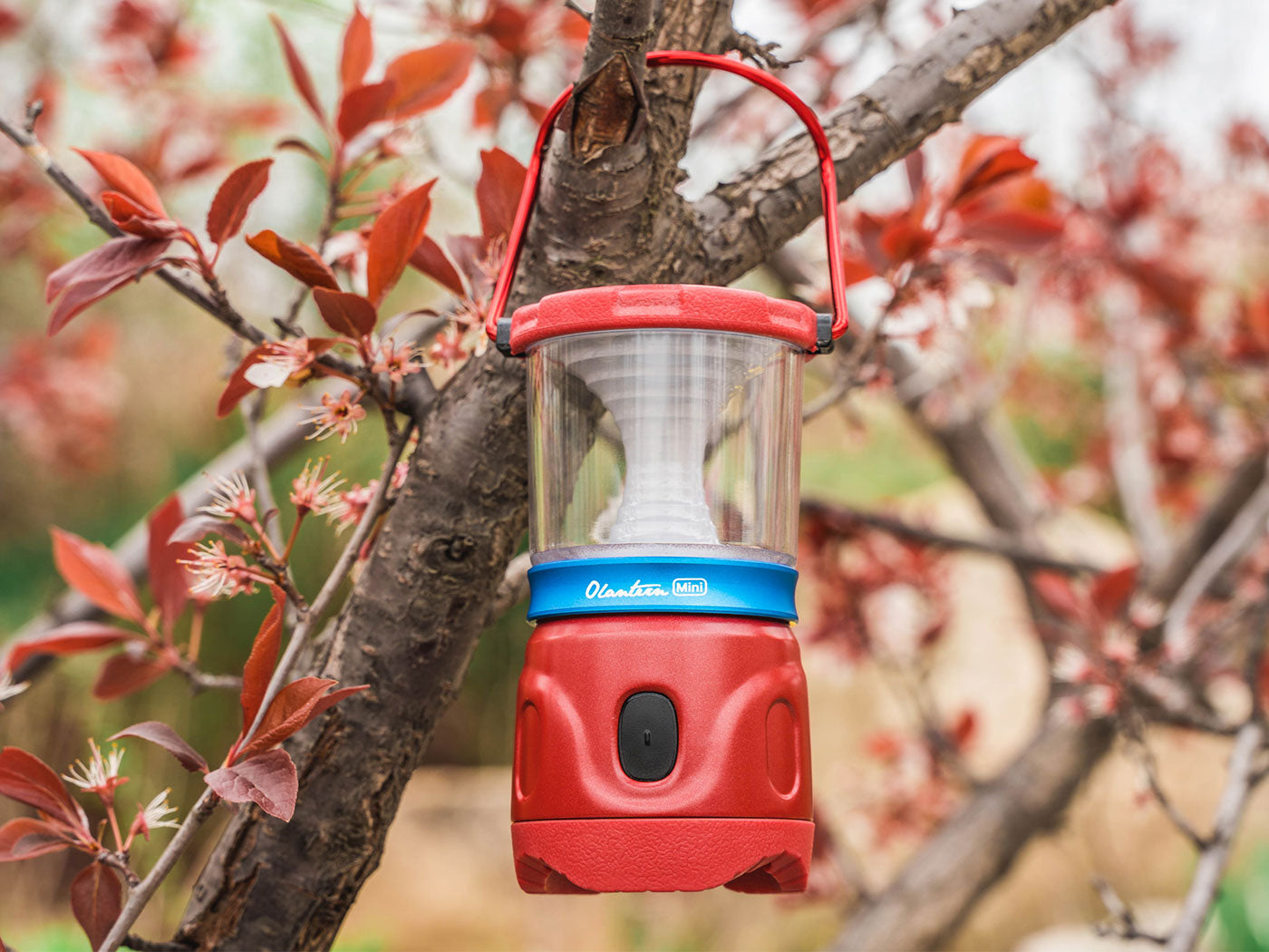 Olight Olantern Mini Wine Red